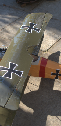 albatross 01 20200331