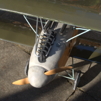 albatross 03 20200331