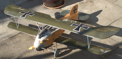 albatross 04 20200331