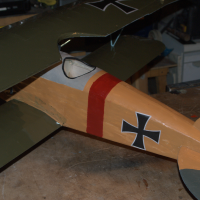 albatross 06 20200331