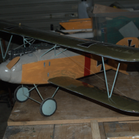 albatross 08 20200331
