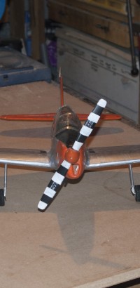 chipmunk02 20180829