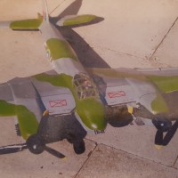 mosquito 1 20180829