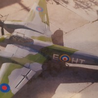 mosquito 2 20180829